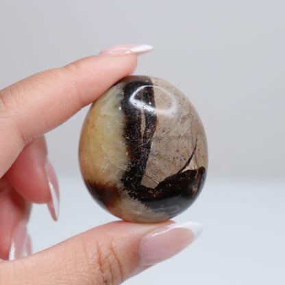 Septarian Palm Stone 71