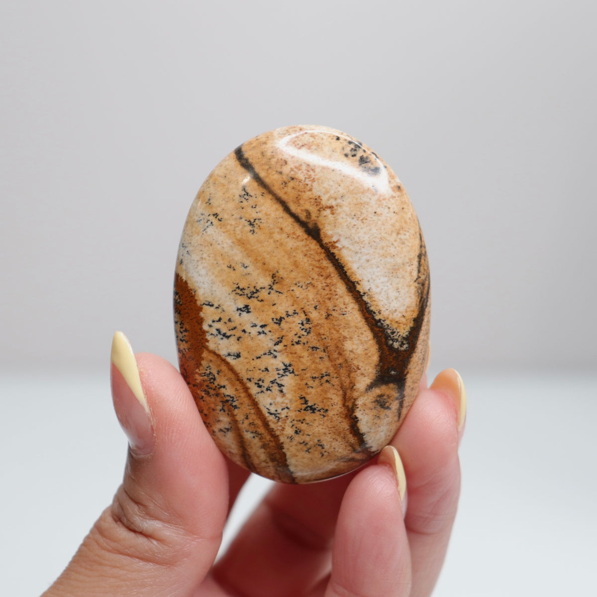 Picture Jasper Palm Stone 18