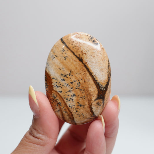 Picture Jasper Palm Stone 18