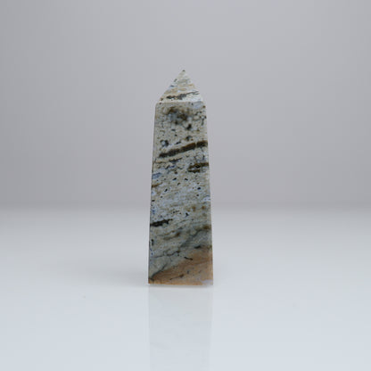 Ocean Jasper Tower | 2