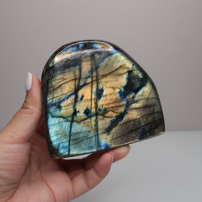 Labradorite Freeform | 8