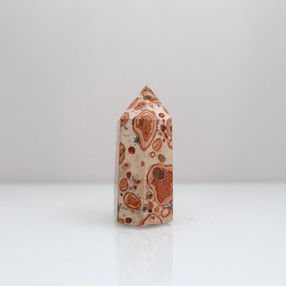 Leopardite Tower | 17