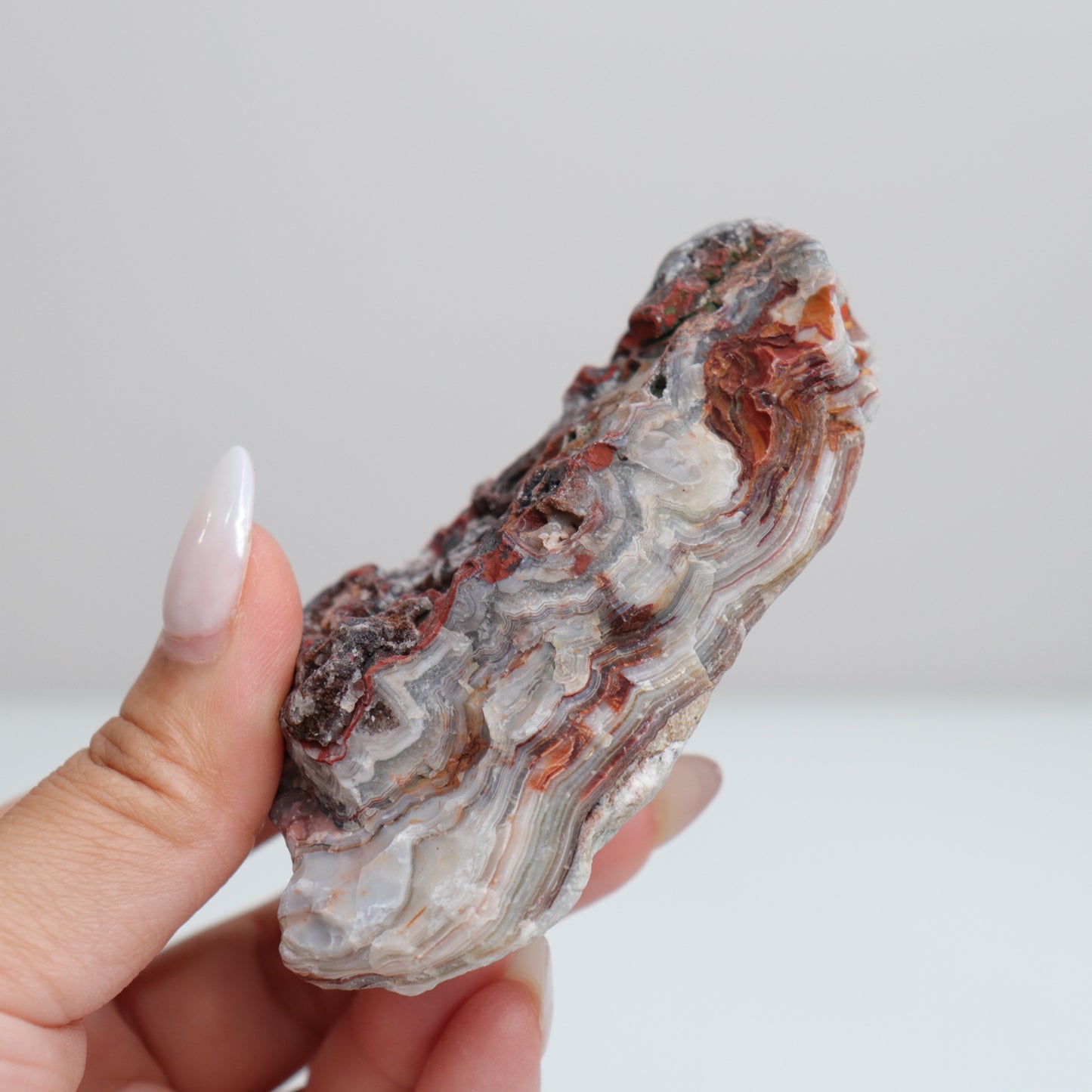 Laguna Lace Agate | D