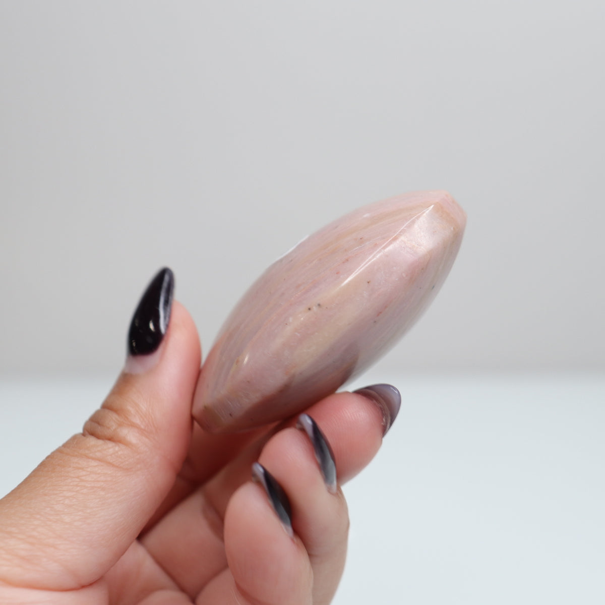 Pink Petrified Wood Palm Stone | 163