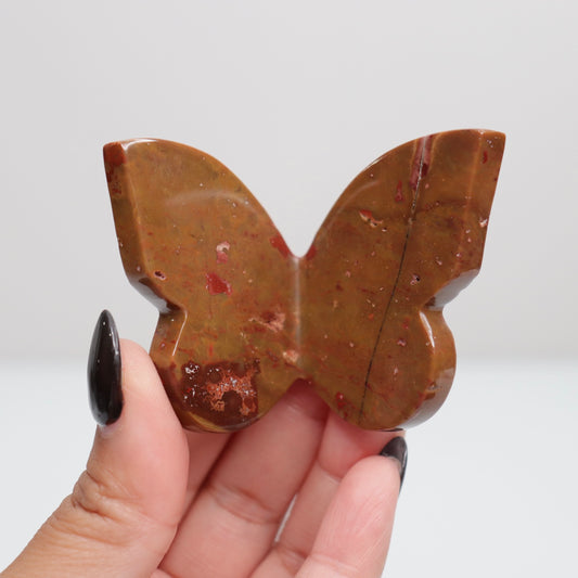 Jasper Butterfly 1