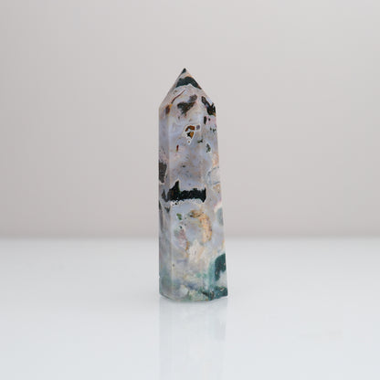 Ocean Jasper Tower | 80