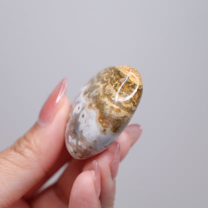 Ocean Jasper Heart | 8