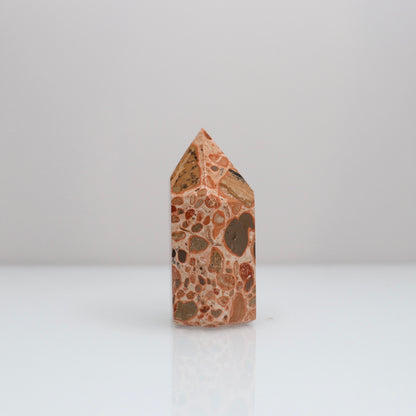 Leopardite Tower | 13