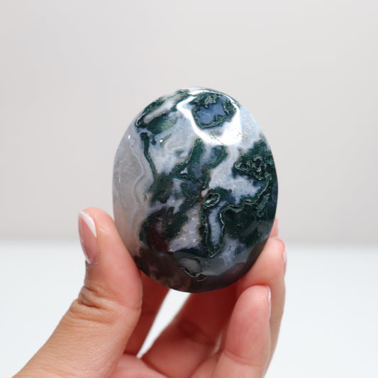 Moss Agate Palm Stone | 49