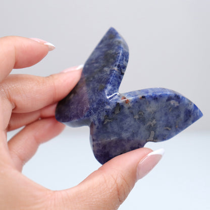 Sodalite Butterly G