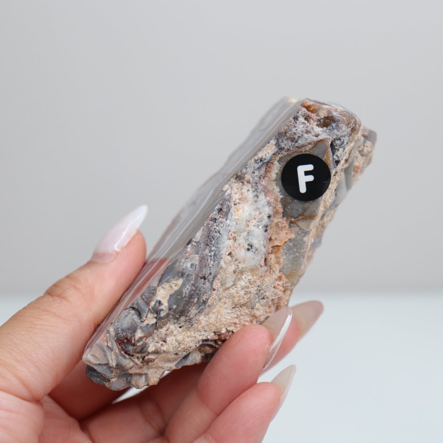 Laguna Lace Agate | F