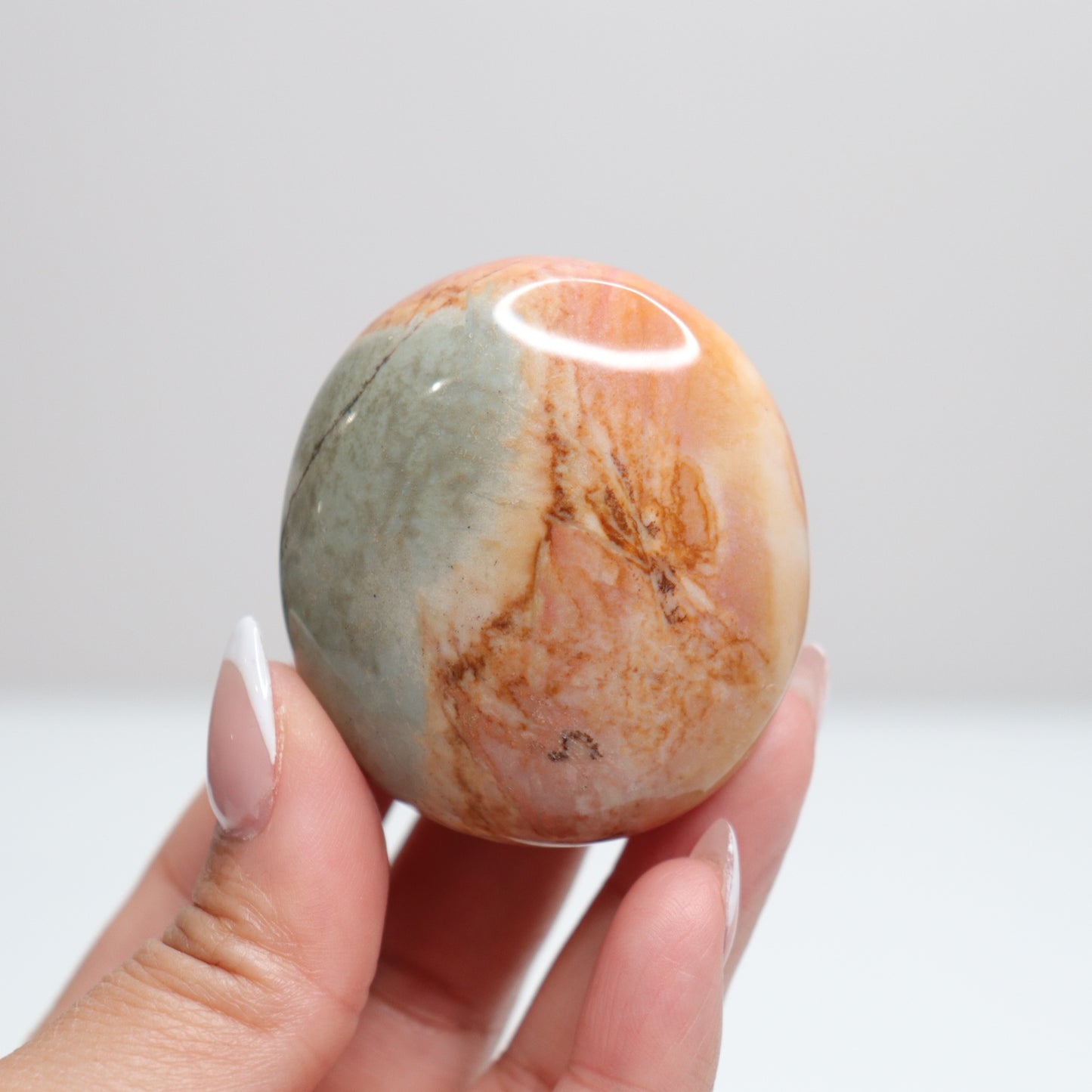 Polychrome Jasper Palm Stone | 16
