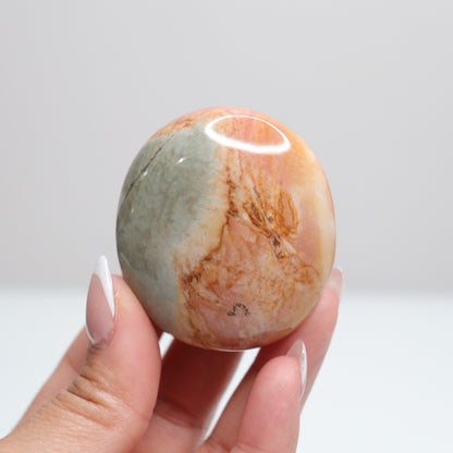 Polychrome Jasper Palm Stone | 16