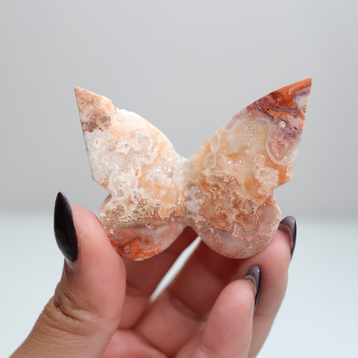 Crazy Lace Agate Butterfly | 28