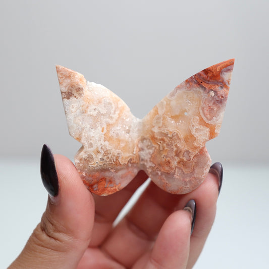 Crazy Lace Agate Butterfly | 28