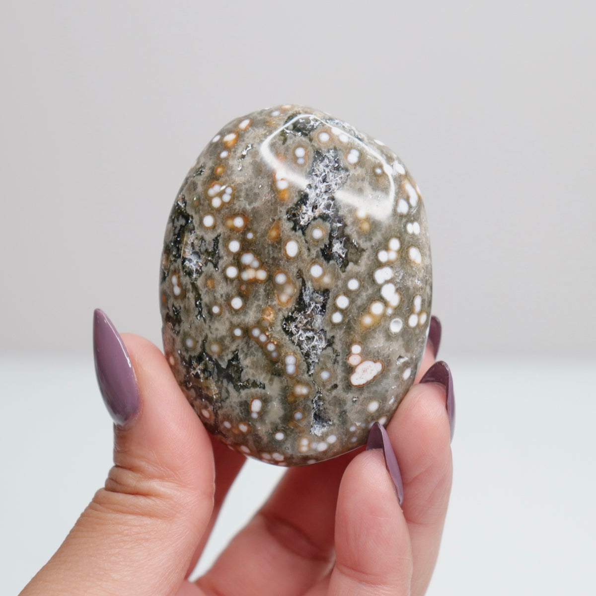 Ocean Jasper Palm Stone 116