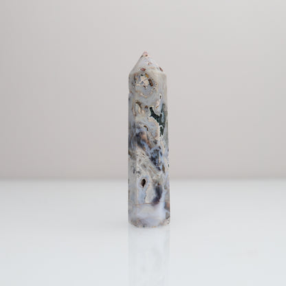 Ocean Jasper Tower | 79