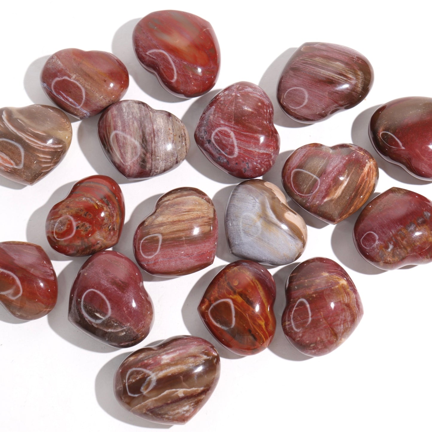 Petrified Wood Hearts