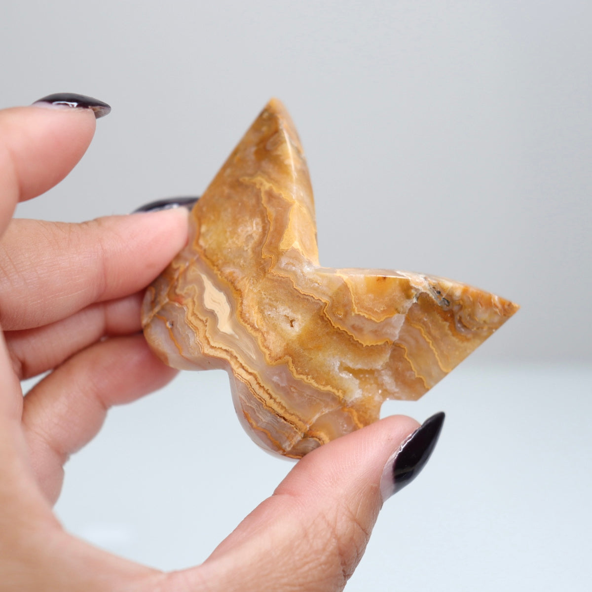 Crazy Lace Agate Butterfly | 10