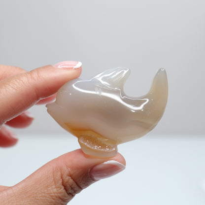 Agate Dolphin | 5