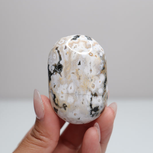 Sea Jasper Palm Stone | T