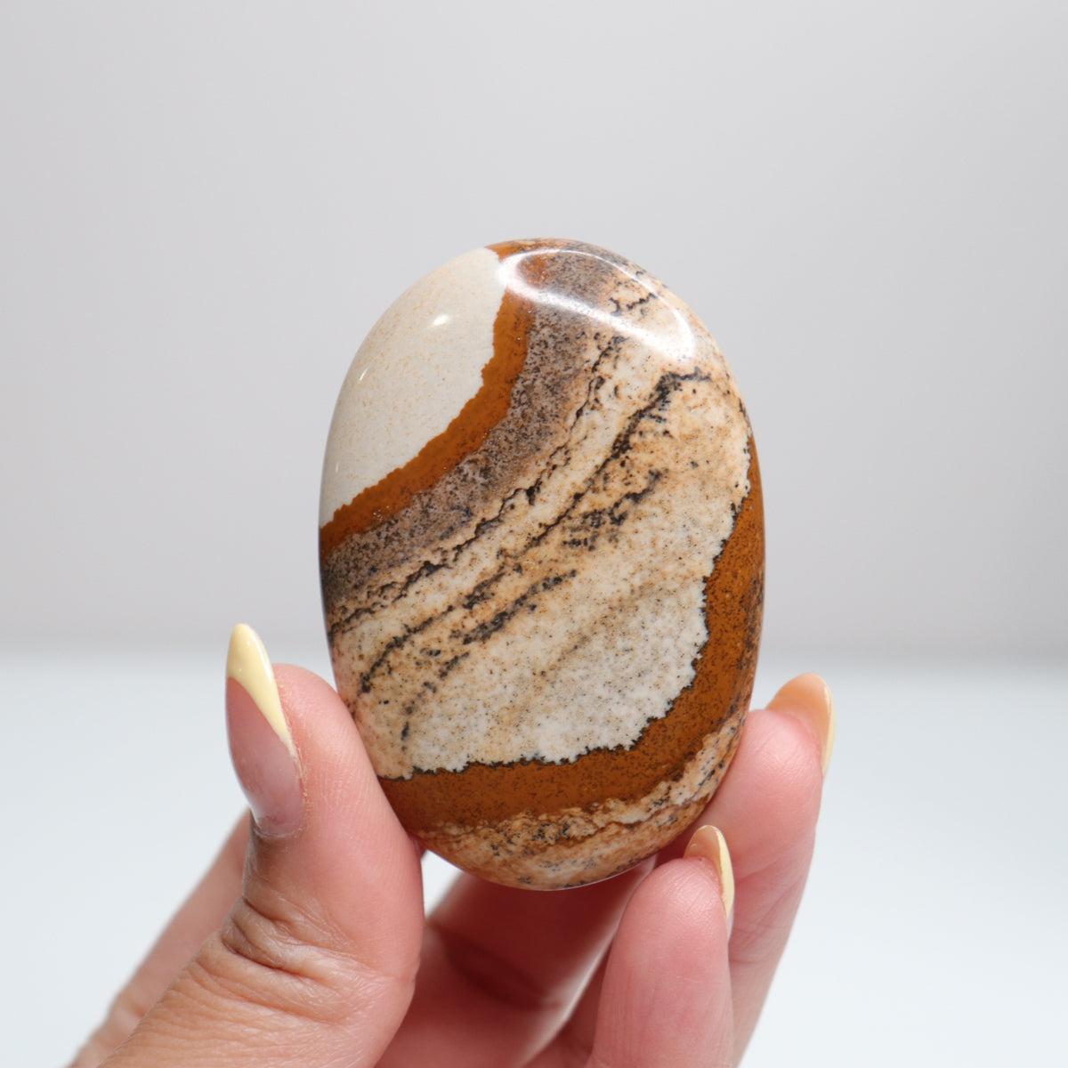 Picture Jasper Palm Stone 17