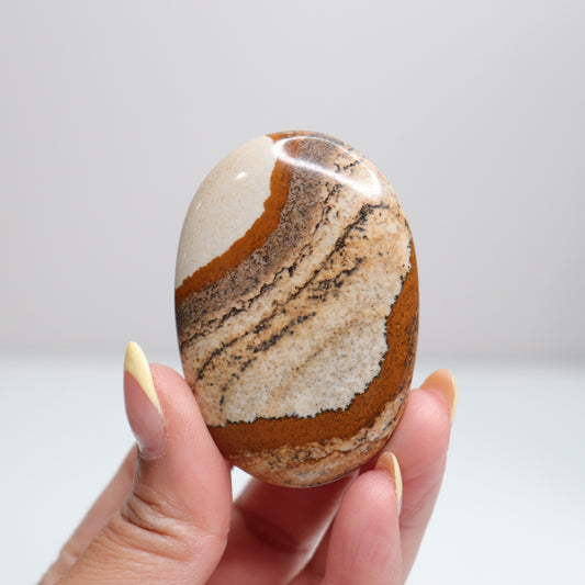 Picture Jasper Palm Stone 17
