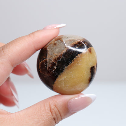 Septarian Palm Stone 75