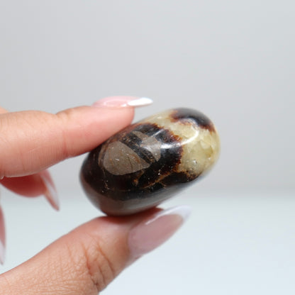 Septarian Palm Stone 74