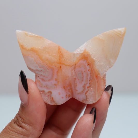 3D Carnelian Butterfly | D