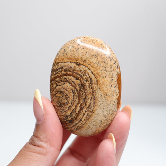 Picture Jasper Palm Stone 2