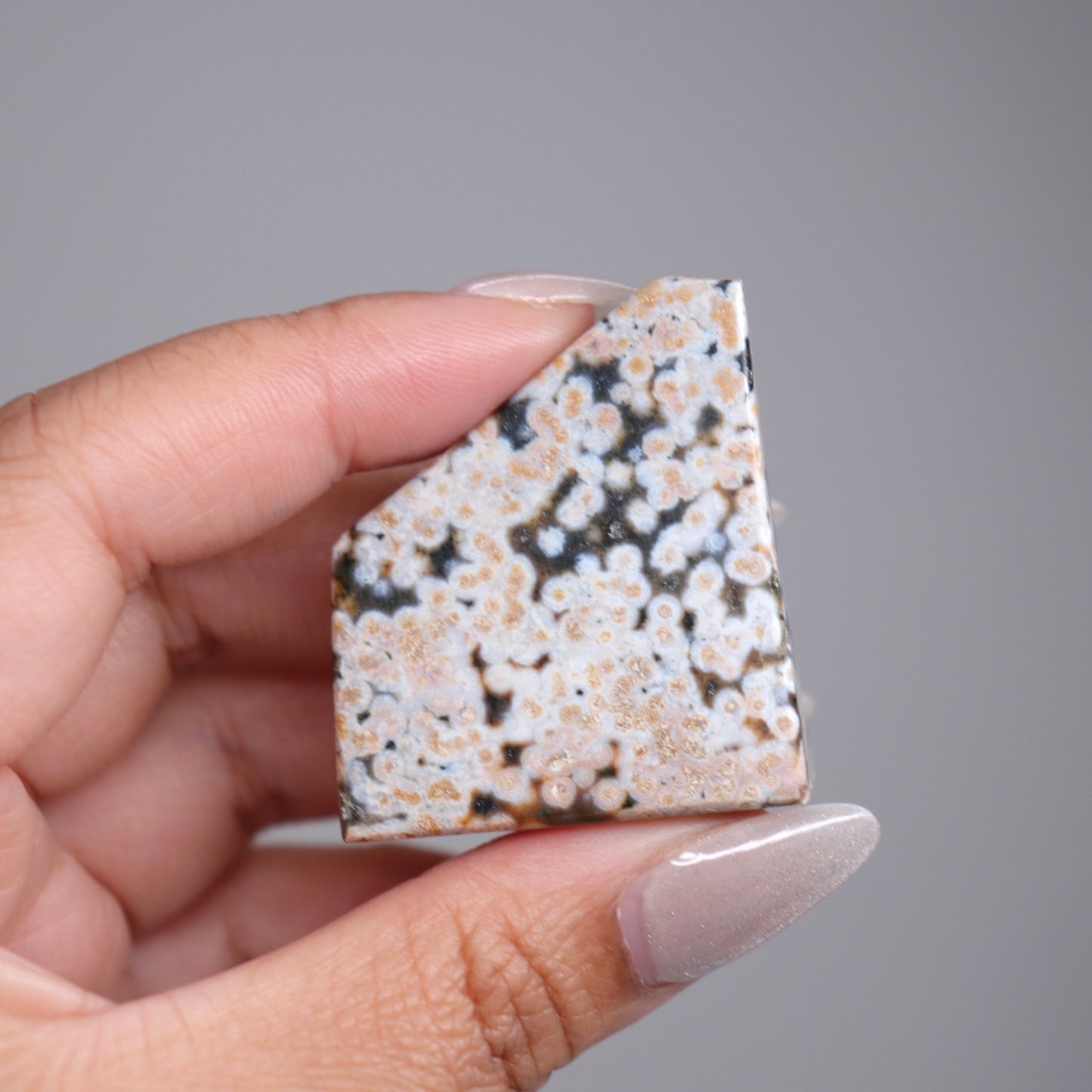 Ocean Jasper Freeform | 2