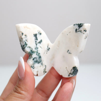 Tree Agate Butterfly C