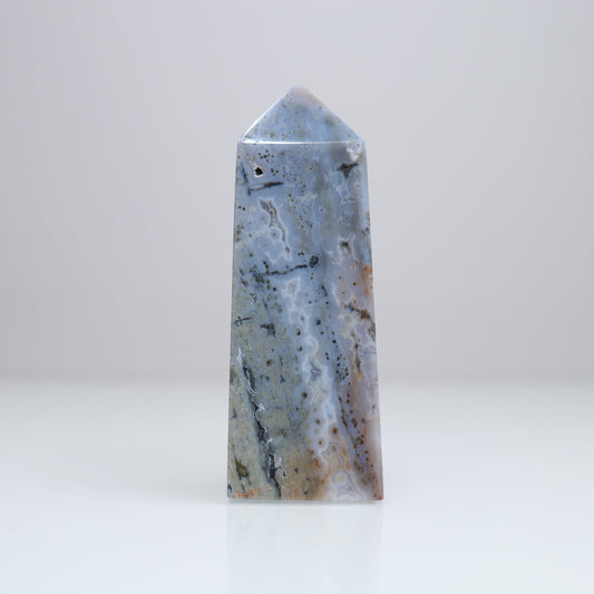 Ocean Jasper Tower | 7
