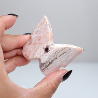 Crazy Lace Agate Butterfly | 13