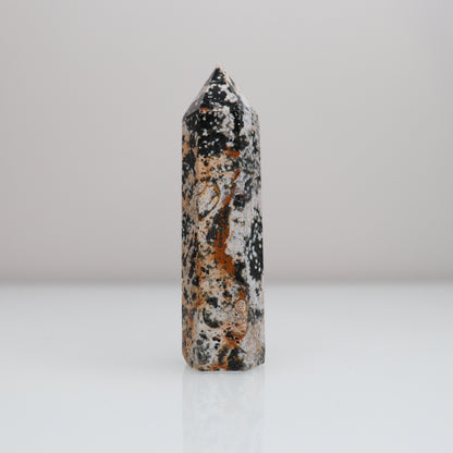 Ocean Jasper Tower 6