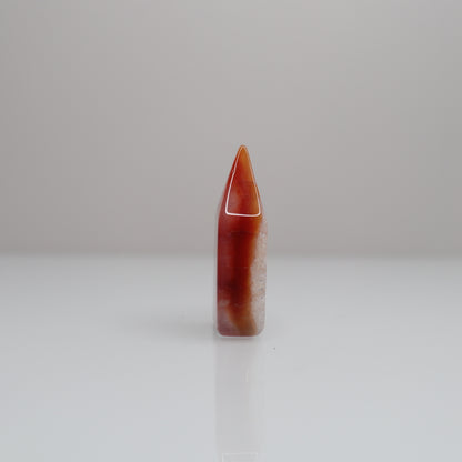Carnelian Tower | 9