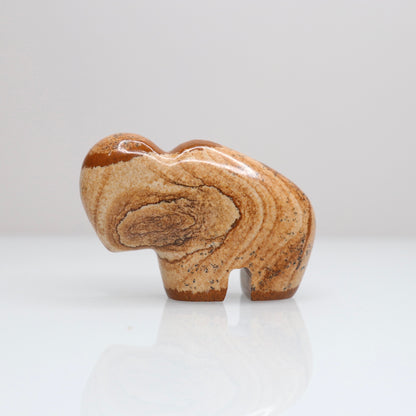 Picture Jasper Bison 1