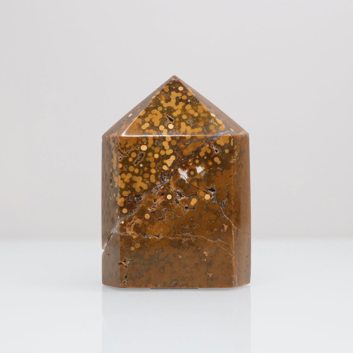 Ocean Jasper Tower | 114