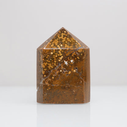 Ocean Jasper Tower | 114