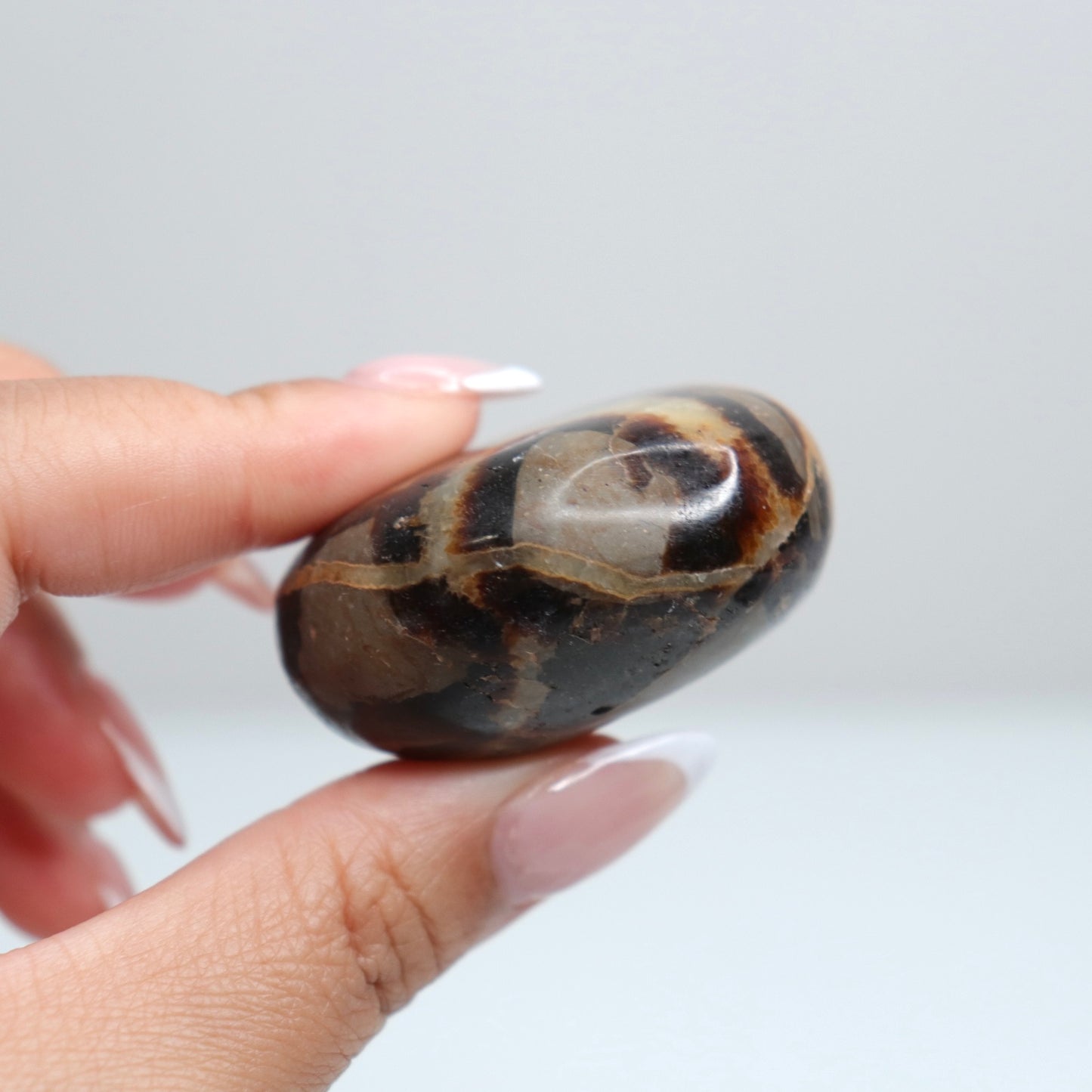 Septarian Palm Stone 78