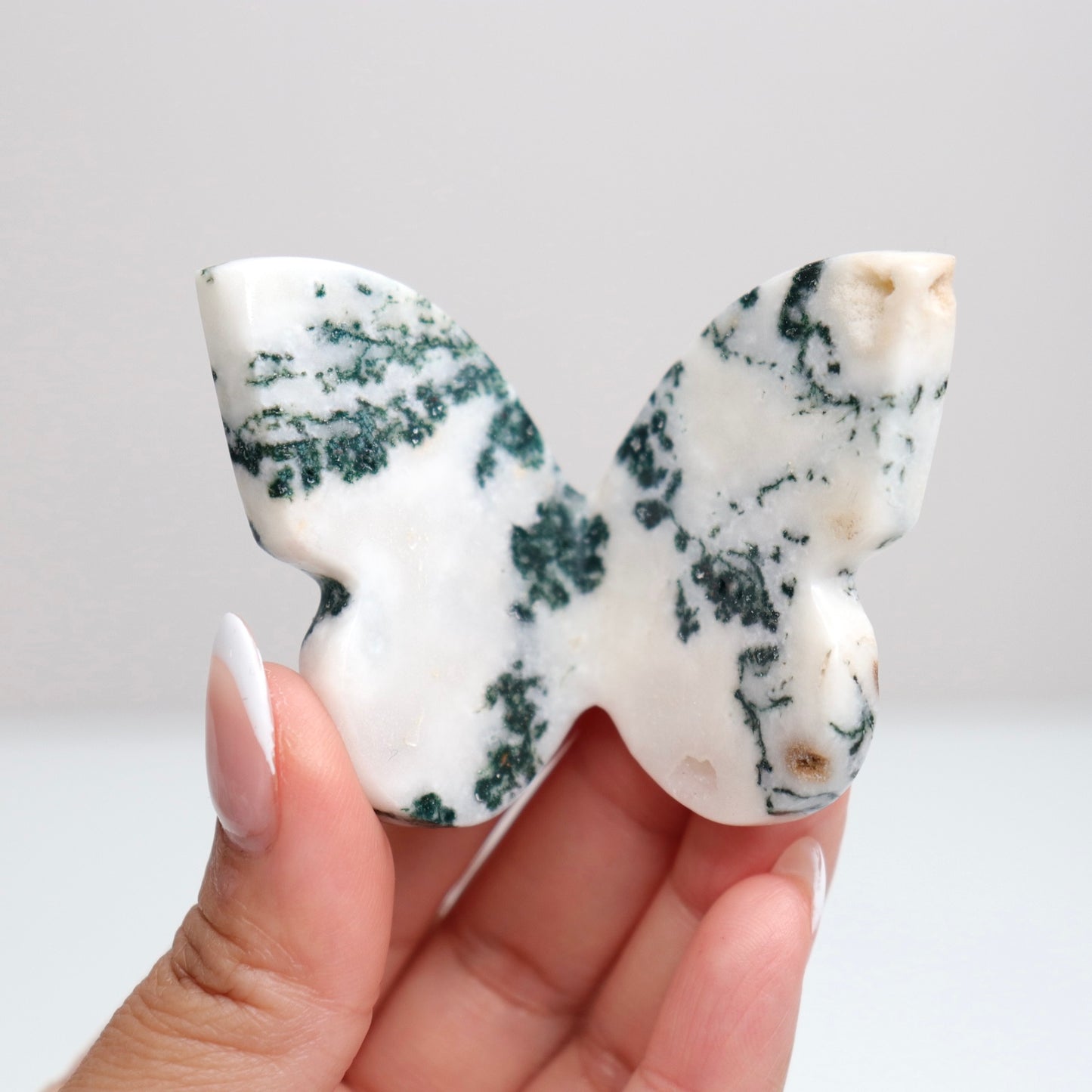 Tree Agate Butterfly A