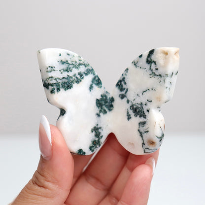 Tree Agate Butterfly A