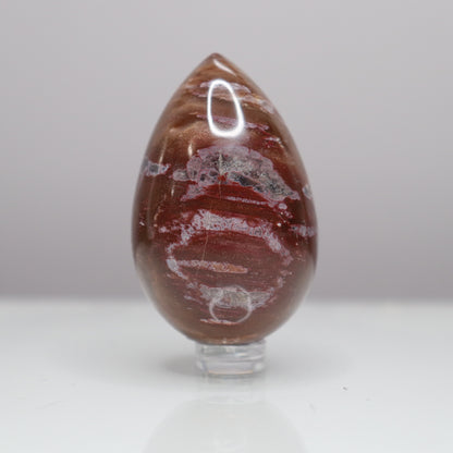 Petrified Wood Egg  - Crescents & Crystals