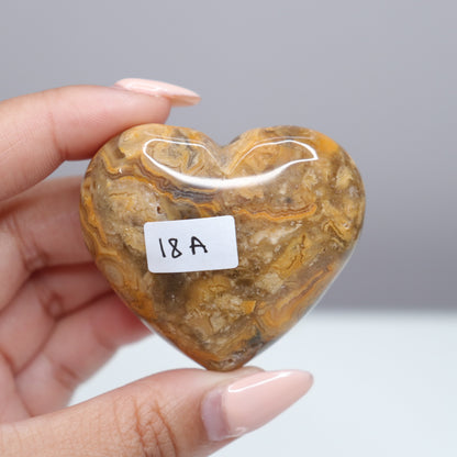 Crazy Lace Agate Heart W/ druzy | 2