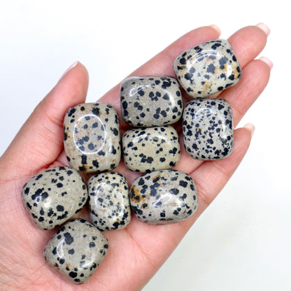 Dalmation Jasper Tumbles- Crescents & Crystals