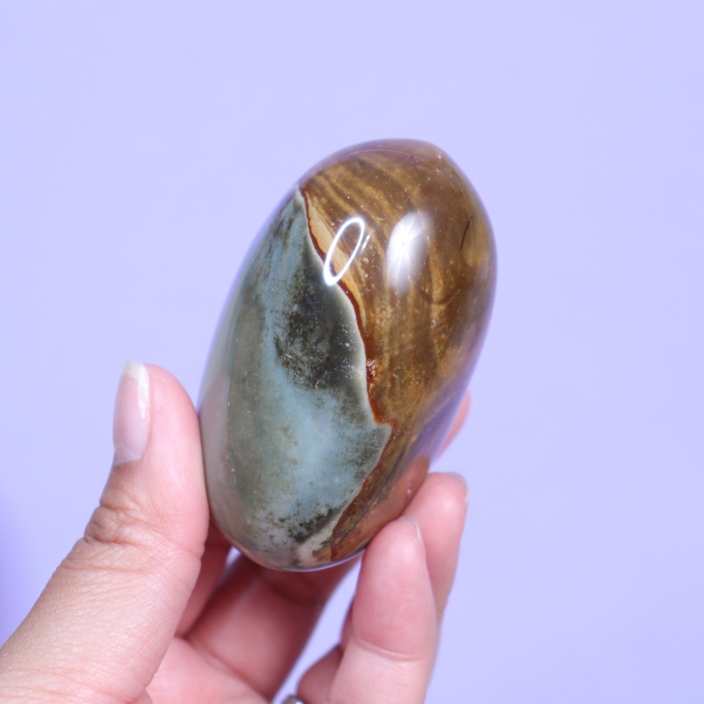 Polychrome Palm Stone [7]