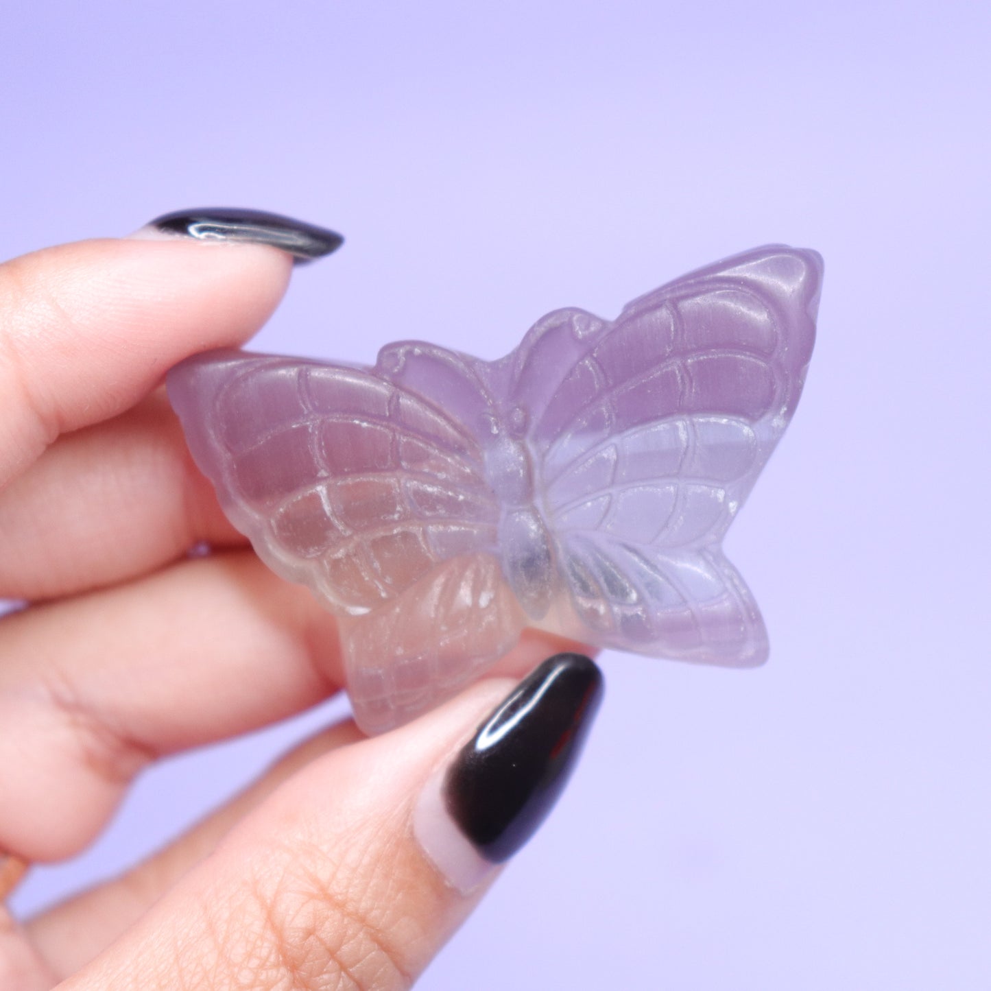 Fluorite Butterfly [1]