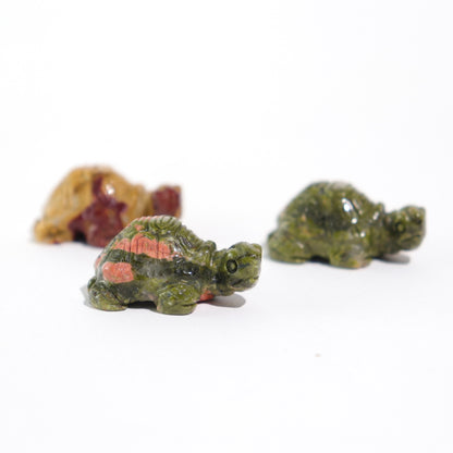 Mini Coin Turtles