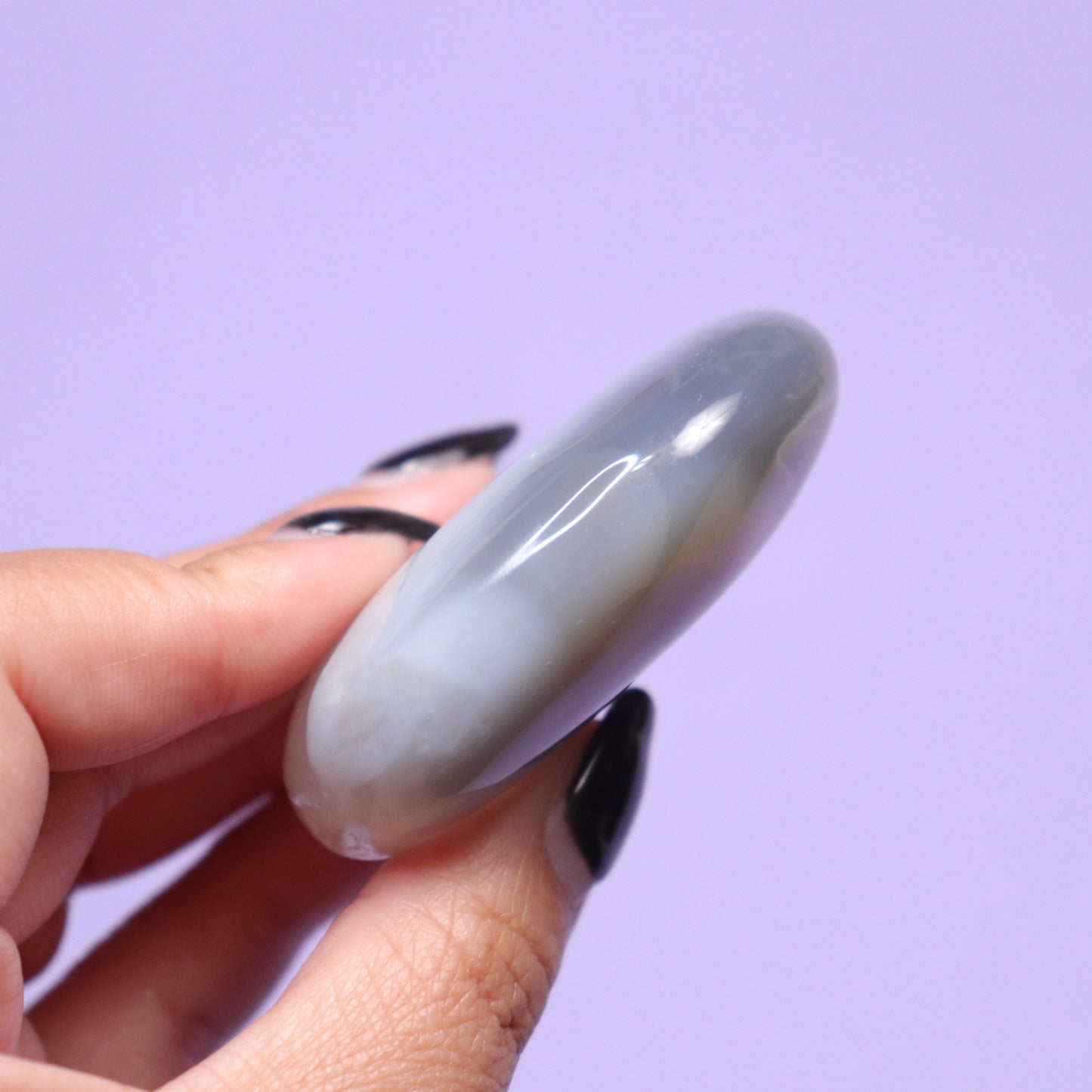 Agate Palm Stone w/Quartz [1]